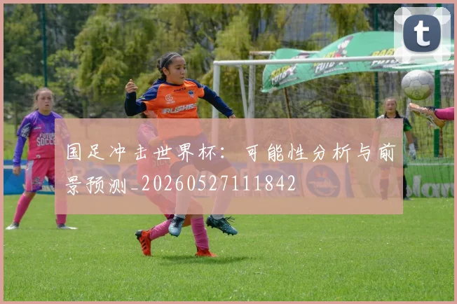 国足冲击世界杯：可能性分析与前景预测_20260527111842