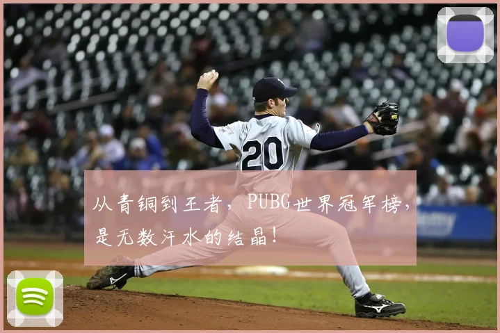 从青铜到王者，PUBG世界冠军榜，是无数汗水的结晶！