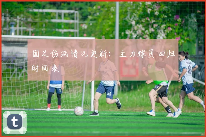 国足伤病情况更新：主力球员回归时间表